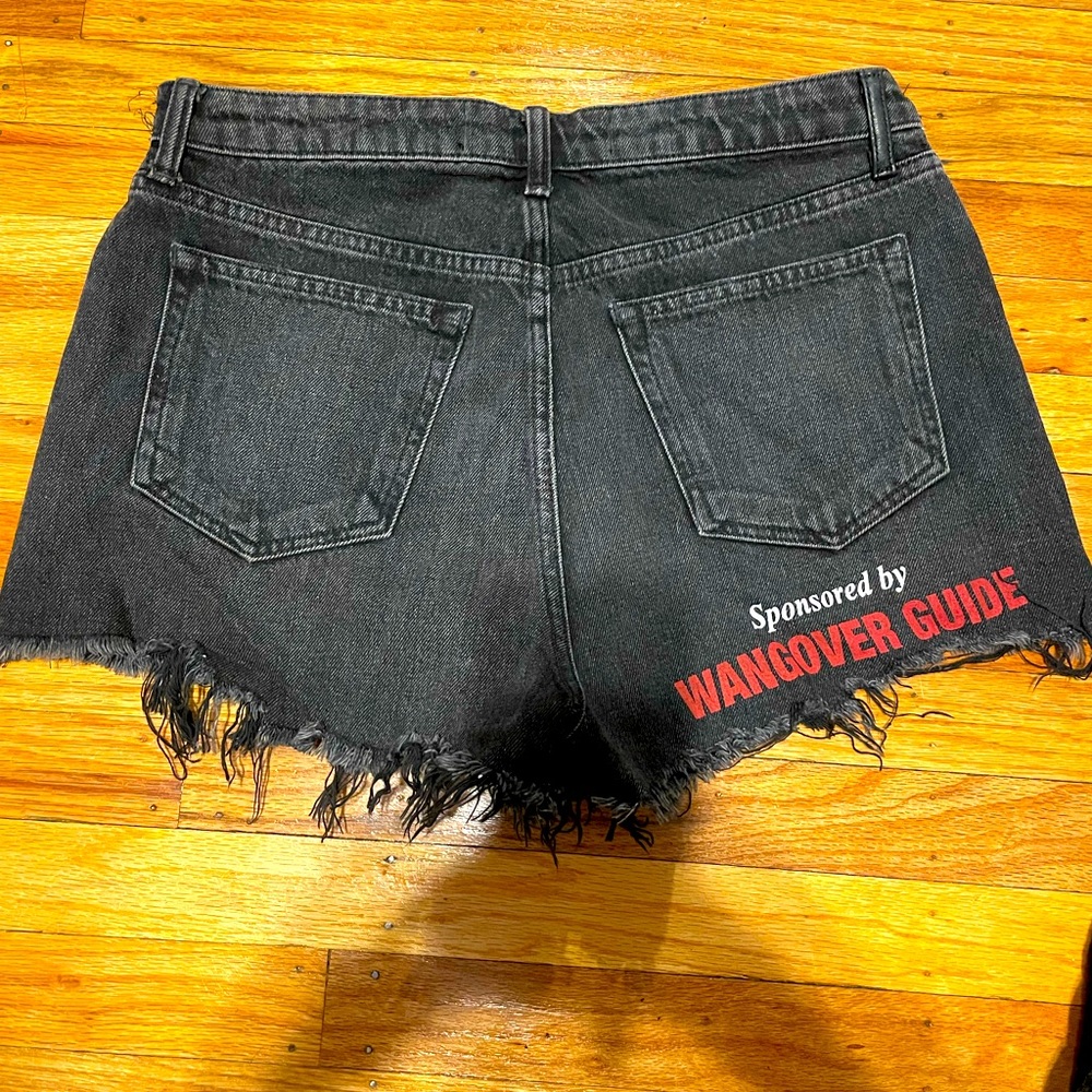Denim Alexander wang shorts